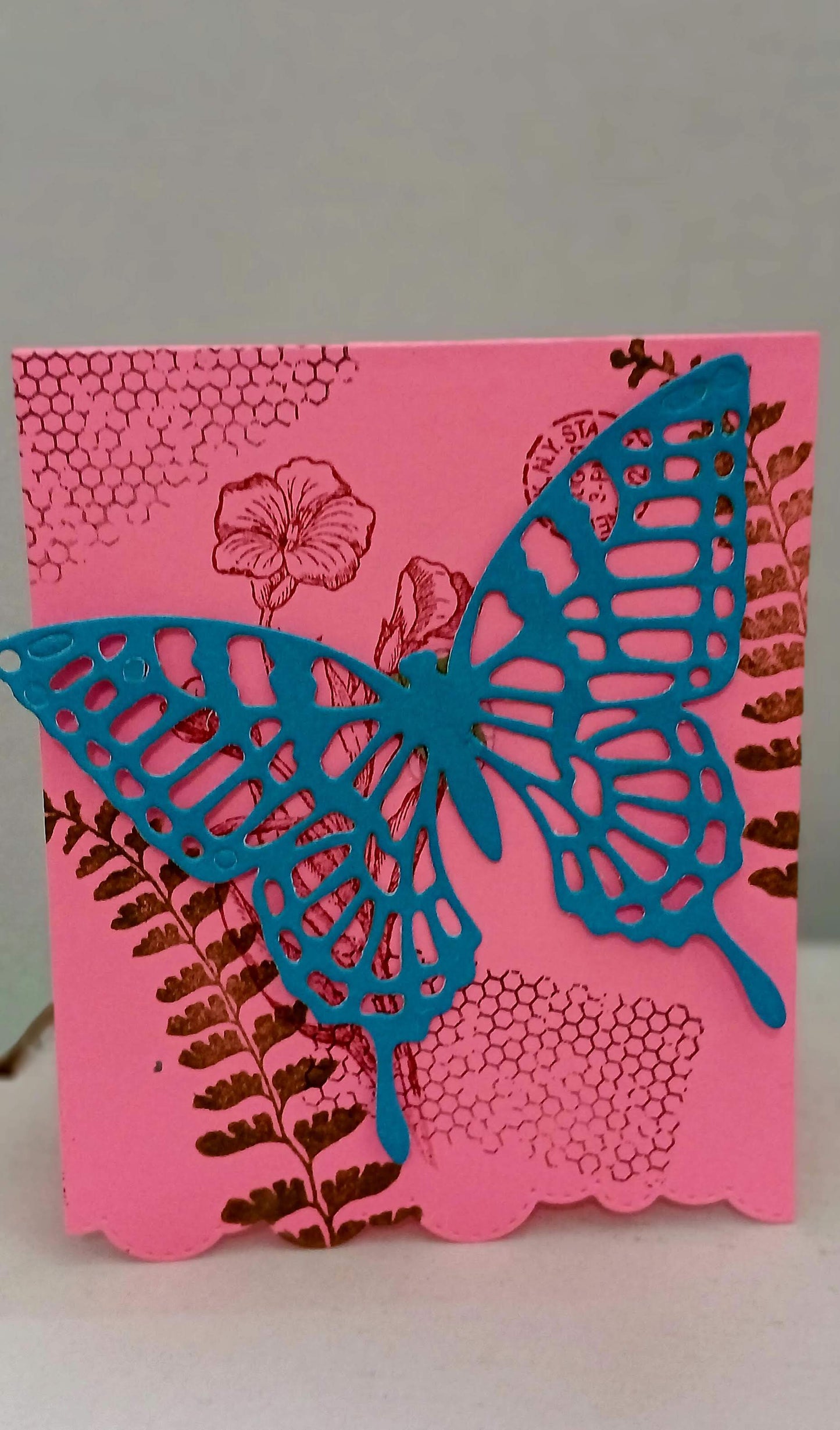 Butterflies