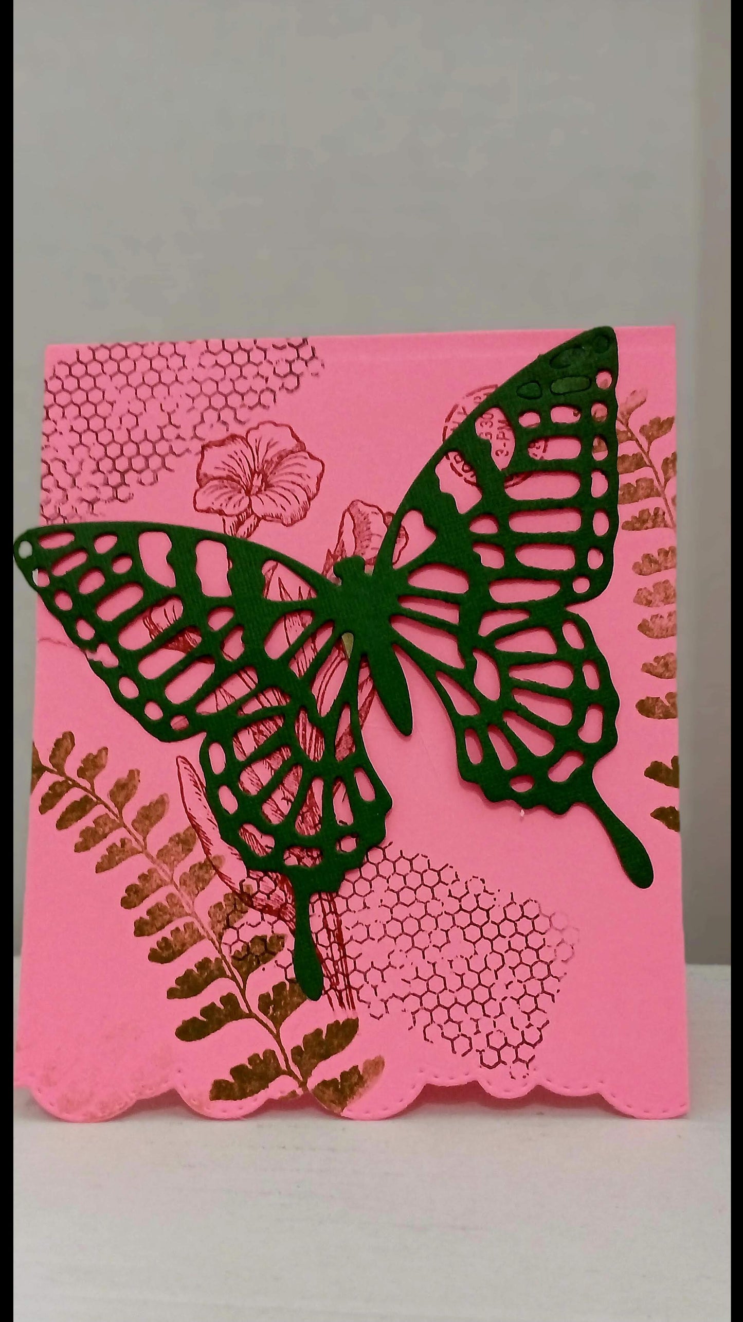 Butterflies